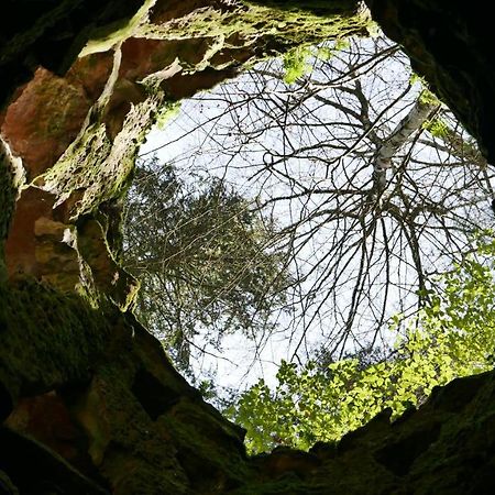 Espaco Origem Sintra Zewnętrze zdjęcie